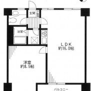 南東向きの１ＬＤＫ(間取)